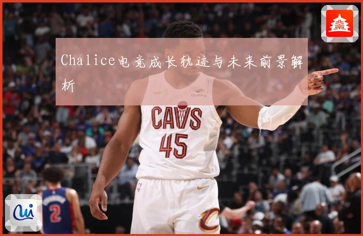 Chalice电竞成长轨迹与未来前景解析