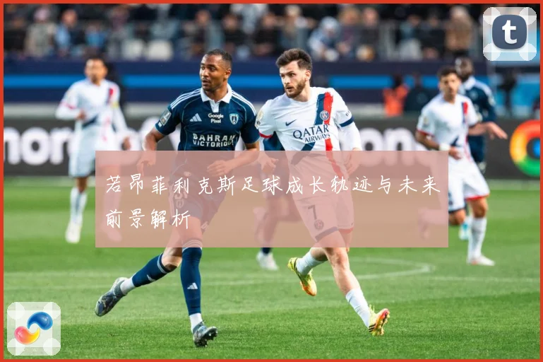 若昂菲利克斯足球成长轨迹与未来前景解析