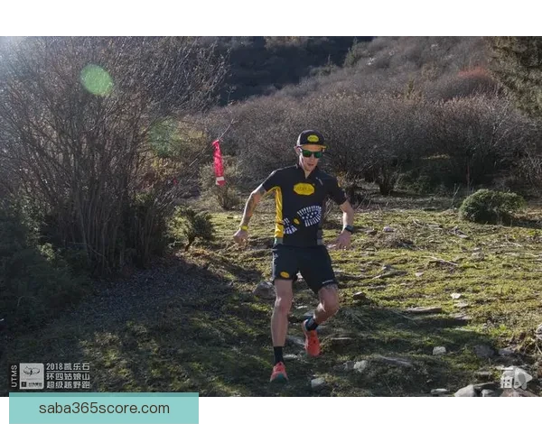 沙巴体育比分实时更新与赛事数据全面解析